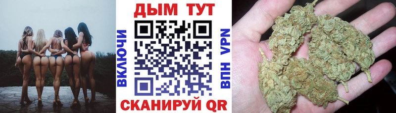 Конопля индика  мориарти какой сайт  Кимры 